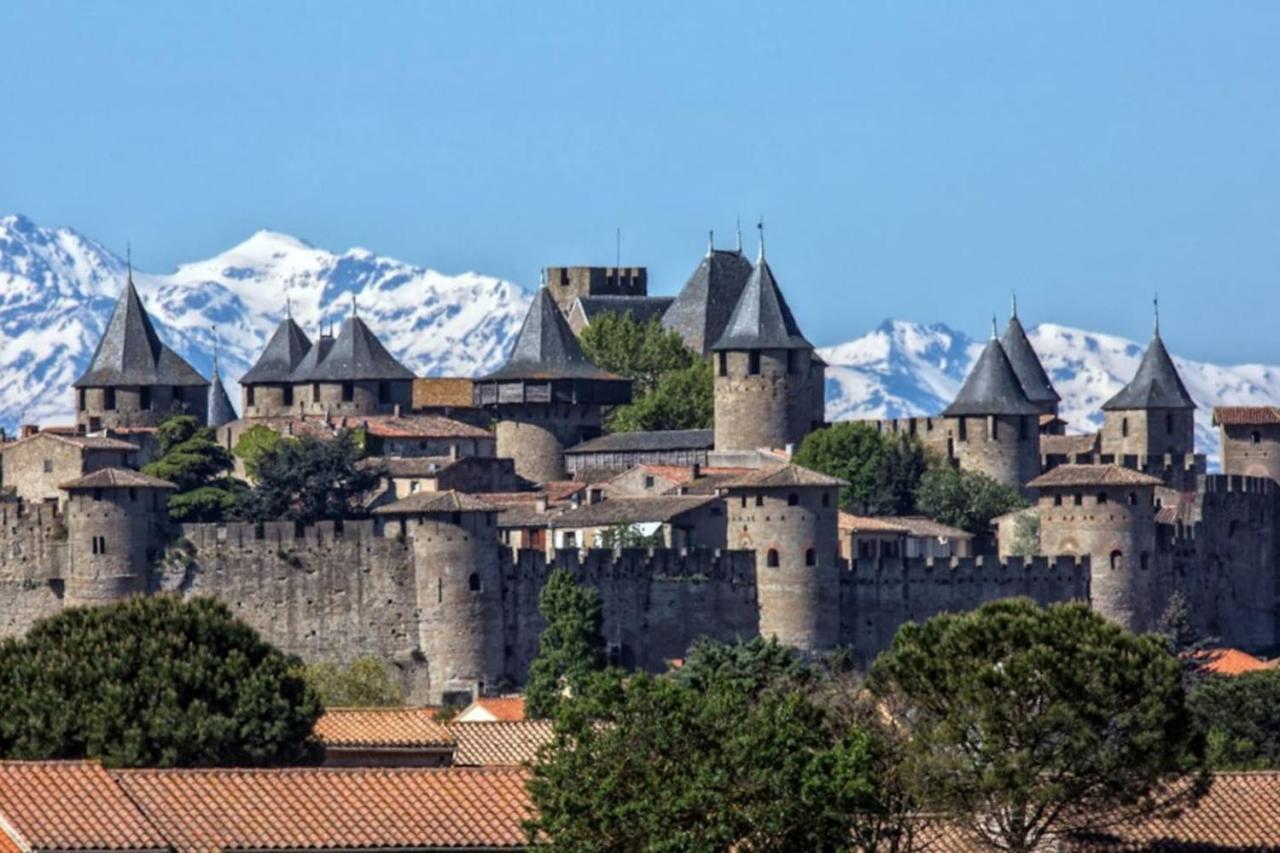 Appartement Proche Cite Medievale Et Centre Ville - Parking Prive Carcassone Exterior photo